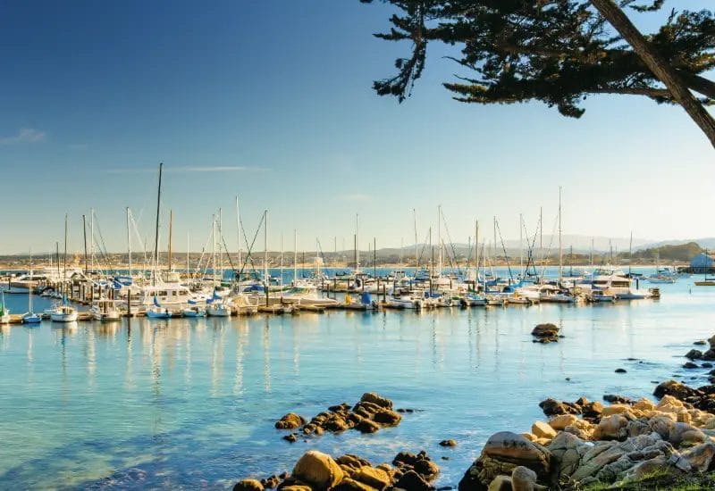 Big Sur vs. Monterey: Natural Scenery