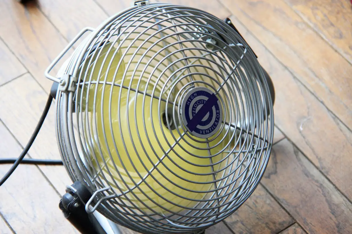Can You Bring Your Own Fan to a Hotel Room?