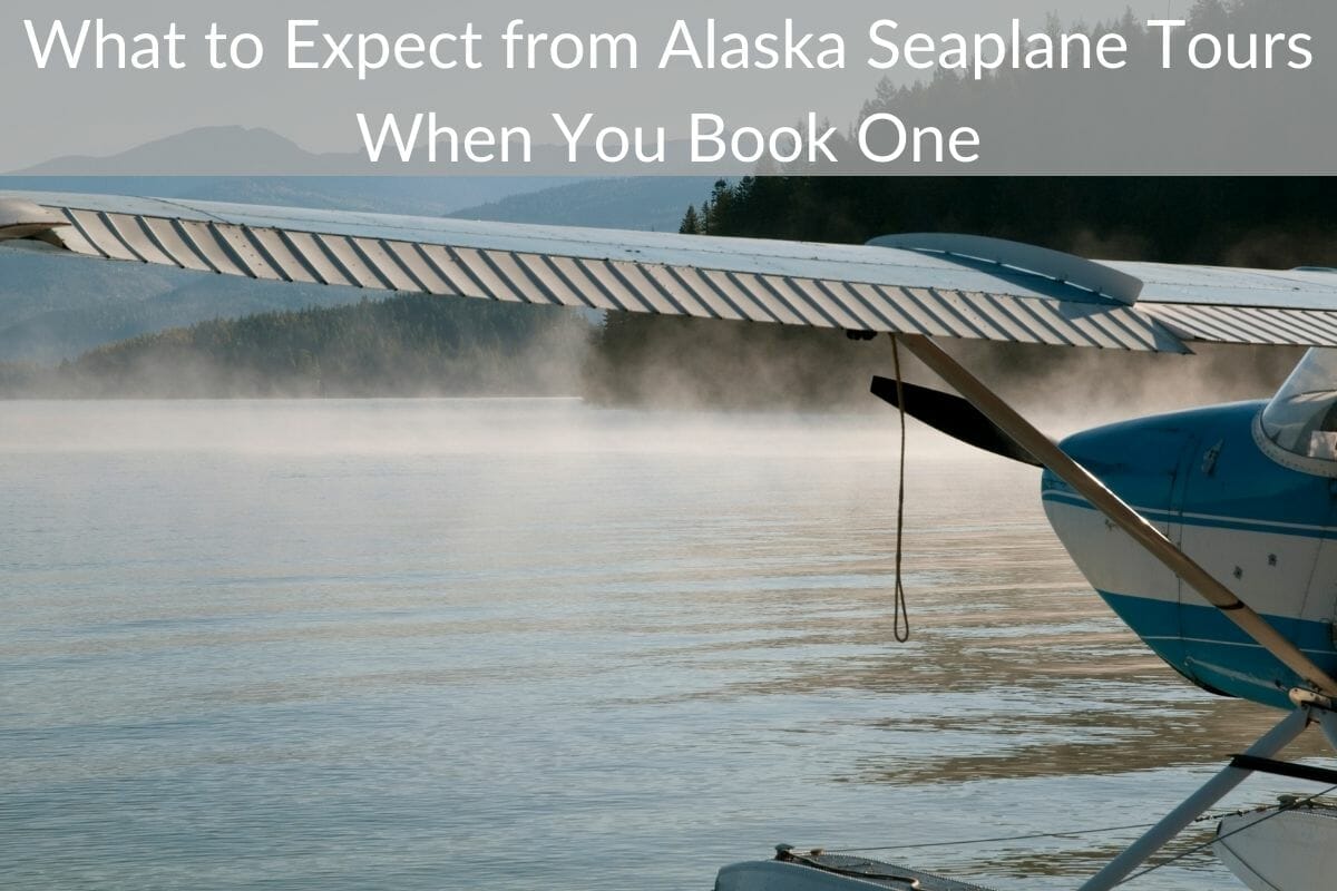 Alaska Seaplane Tours Ultimate Review and What to Expect