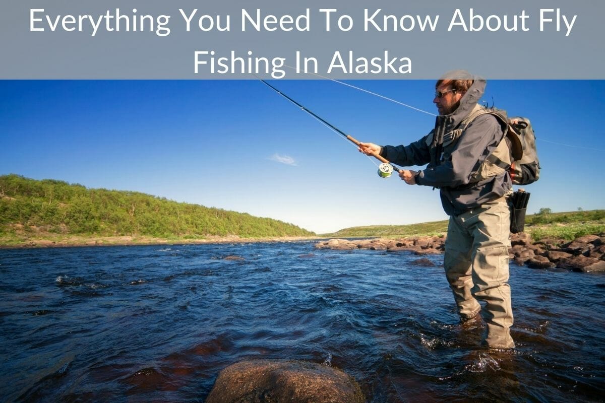Ultimate Fly Fishing in Alaska Guide and Best Fishing Spots