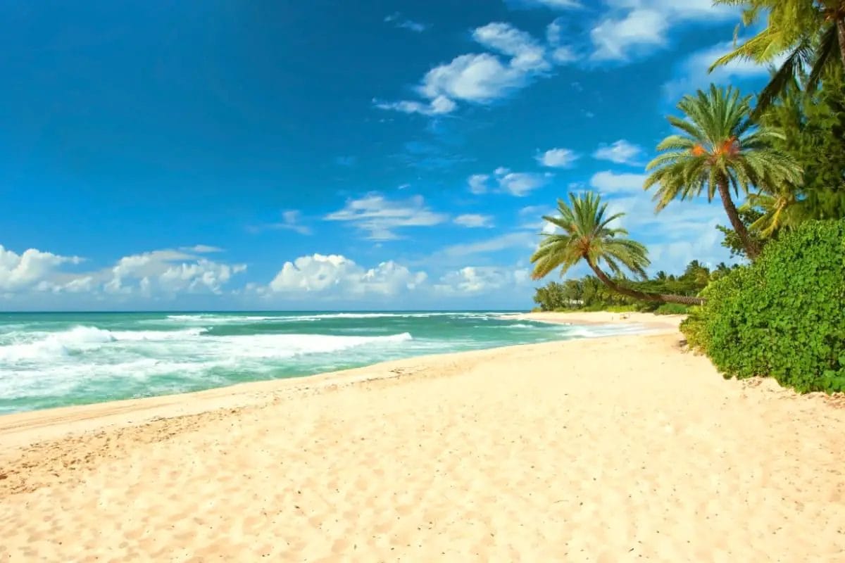 Can You Take Sand From Hawaii? (Hawaii Sand Laws Explained)