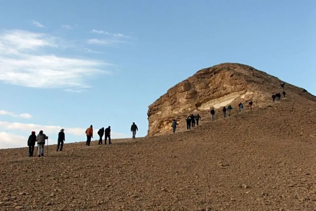 mauna kea or mauna loa lava deserts
