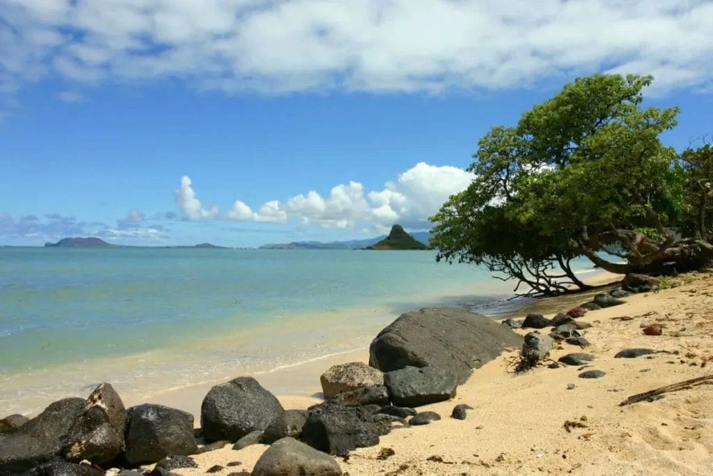 5 ways to get to north shore from waikiki