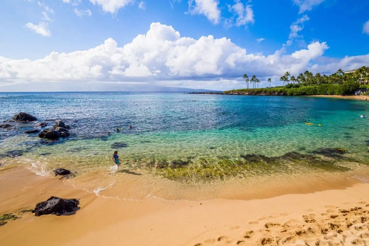 11 Best Maui Beaches for Swimming