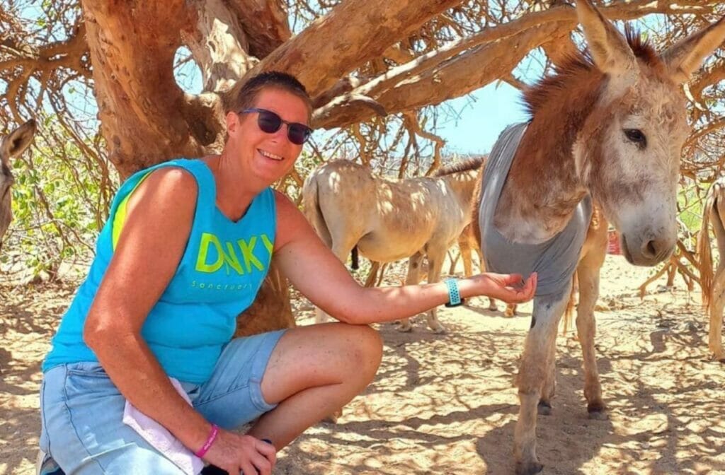Aruba Donkey Sanctuary FAQs