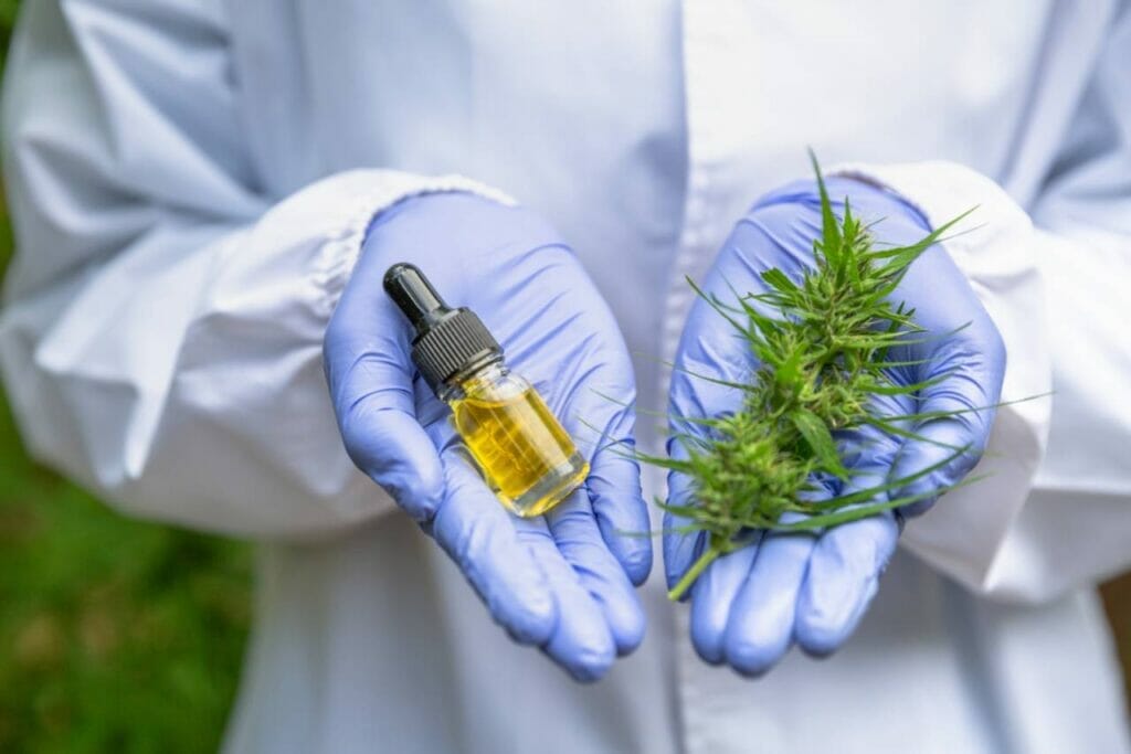 Cbd Vs. Marijuana What's The Difference And Why Should You Care