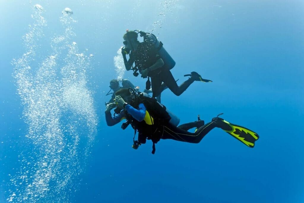 Diving vs. Swimming in Aruba
