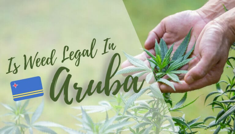 Is Weed Legal in Aruba? (2023 Laws)