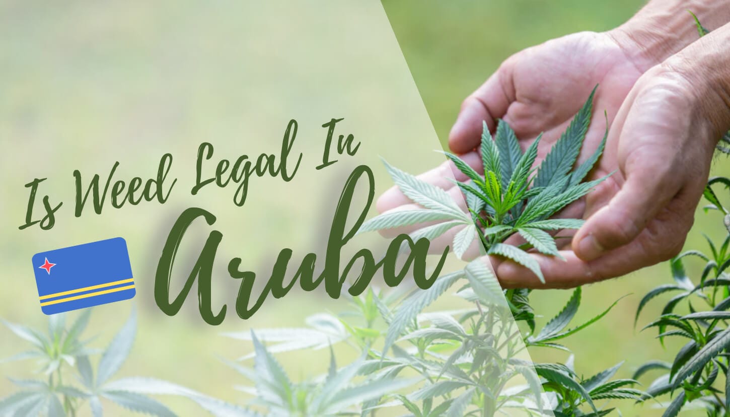 Is Weed Legal in Aruba? (2024 Laws)