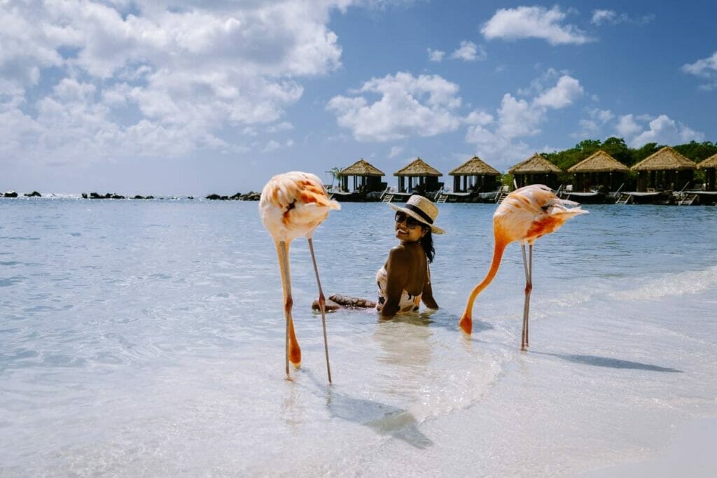 Swimming In Aruba: How Safe Is It?