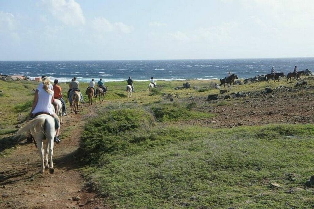  Aruba Horseback Riding Tour to Hidden Lagoon