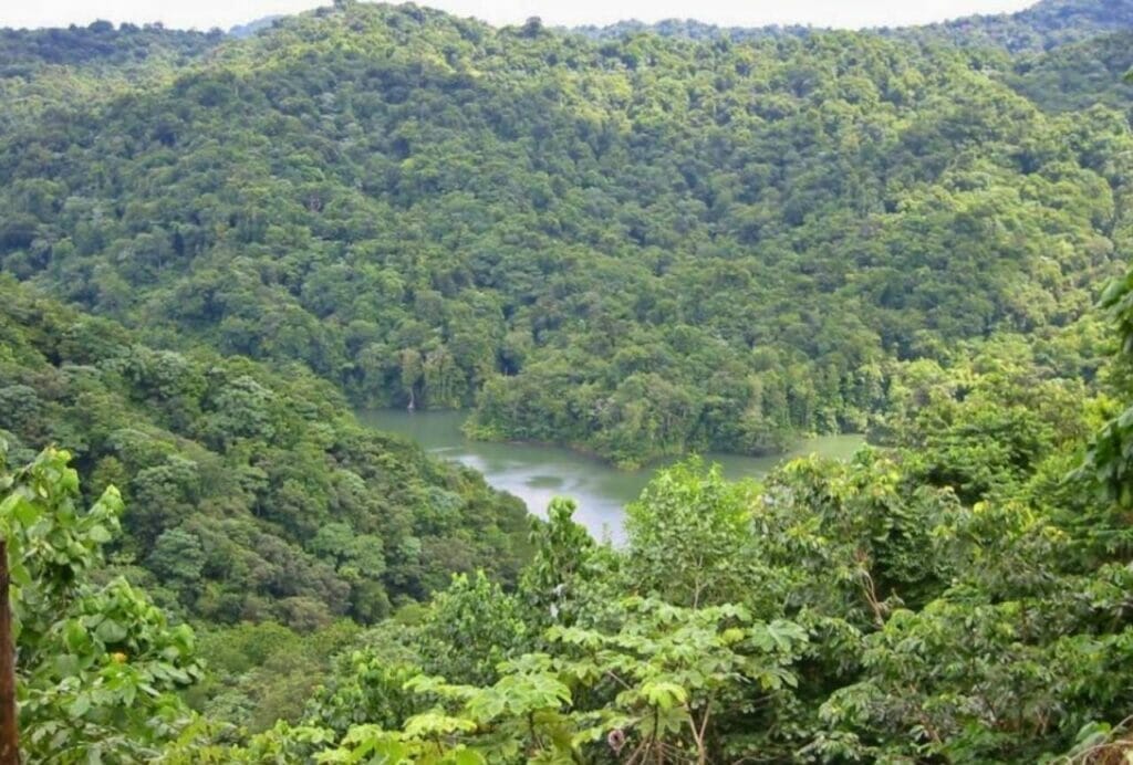 Bird Watching at Millet Bird Sanctuary