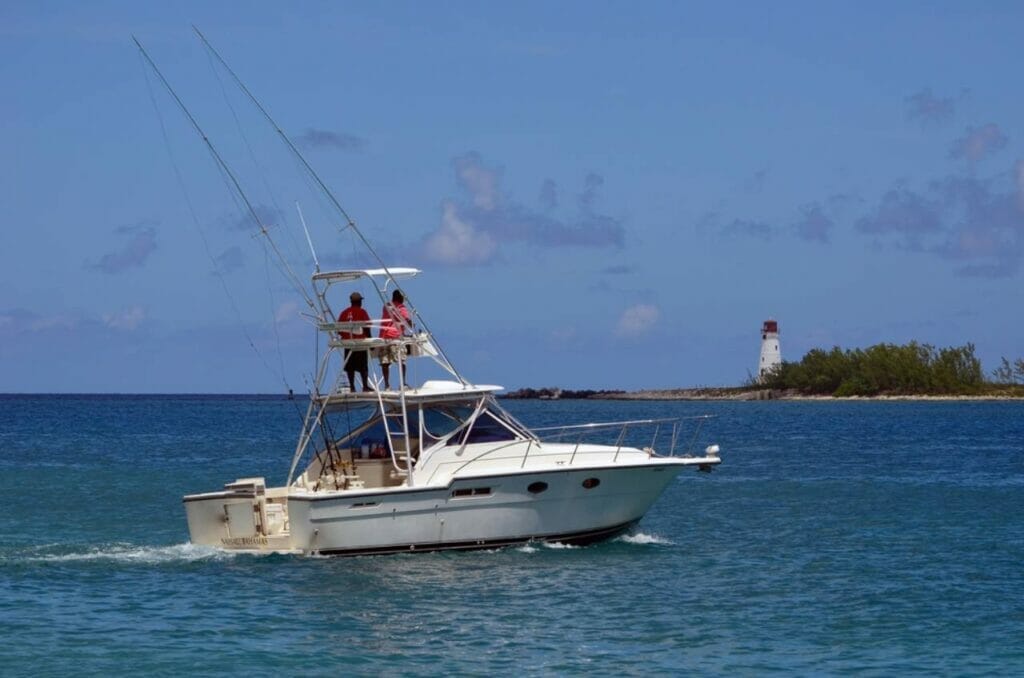 Conclusion Aruba Fishing Charters