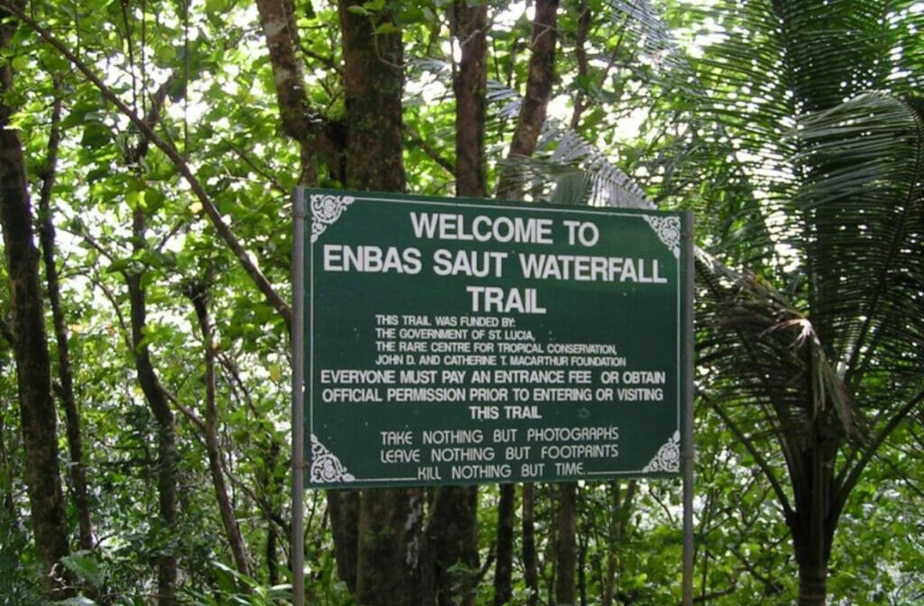 Enbas Saut Waterfall Trail
