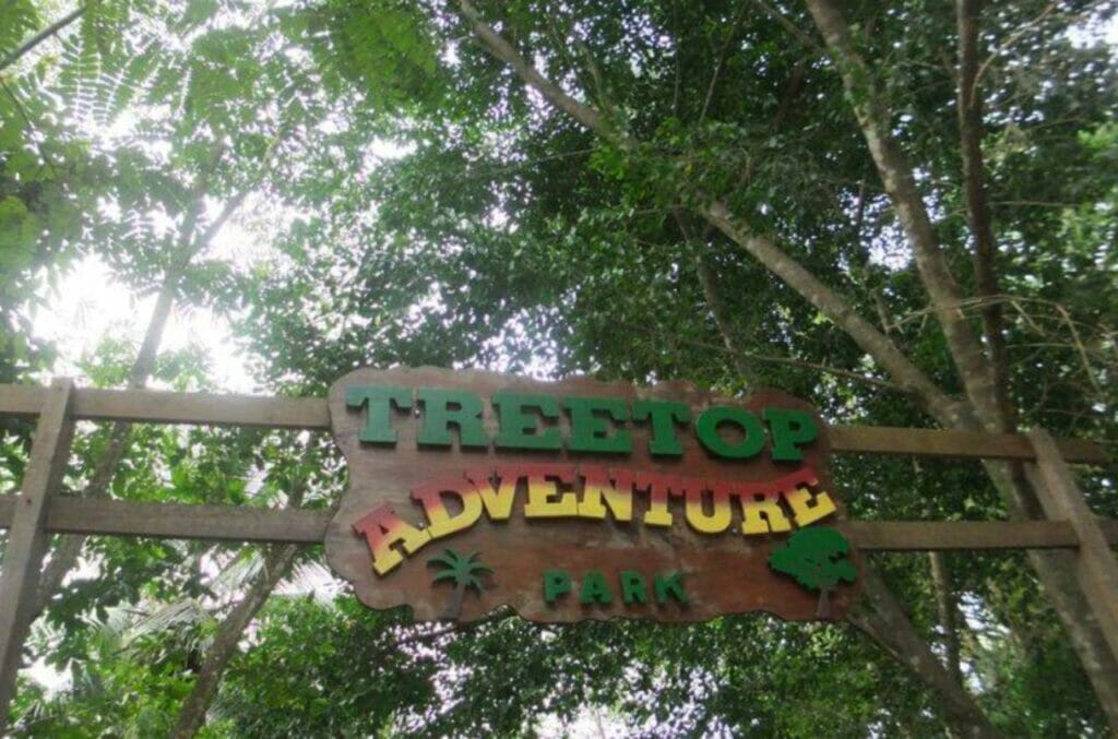 Go Zip Lining Through the Jungle at Treetop Adventure Park