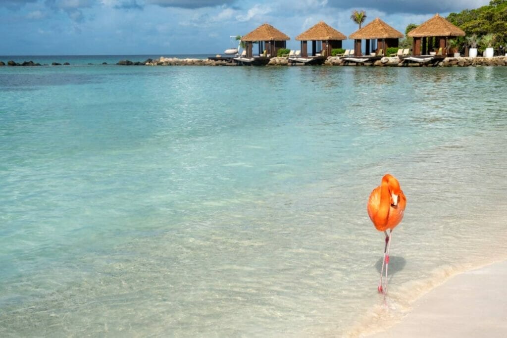 Travel tips for Renaissance Aruba Resort Flamingo Beach