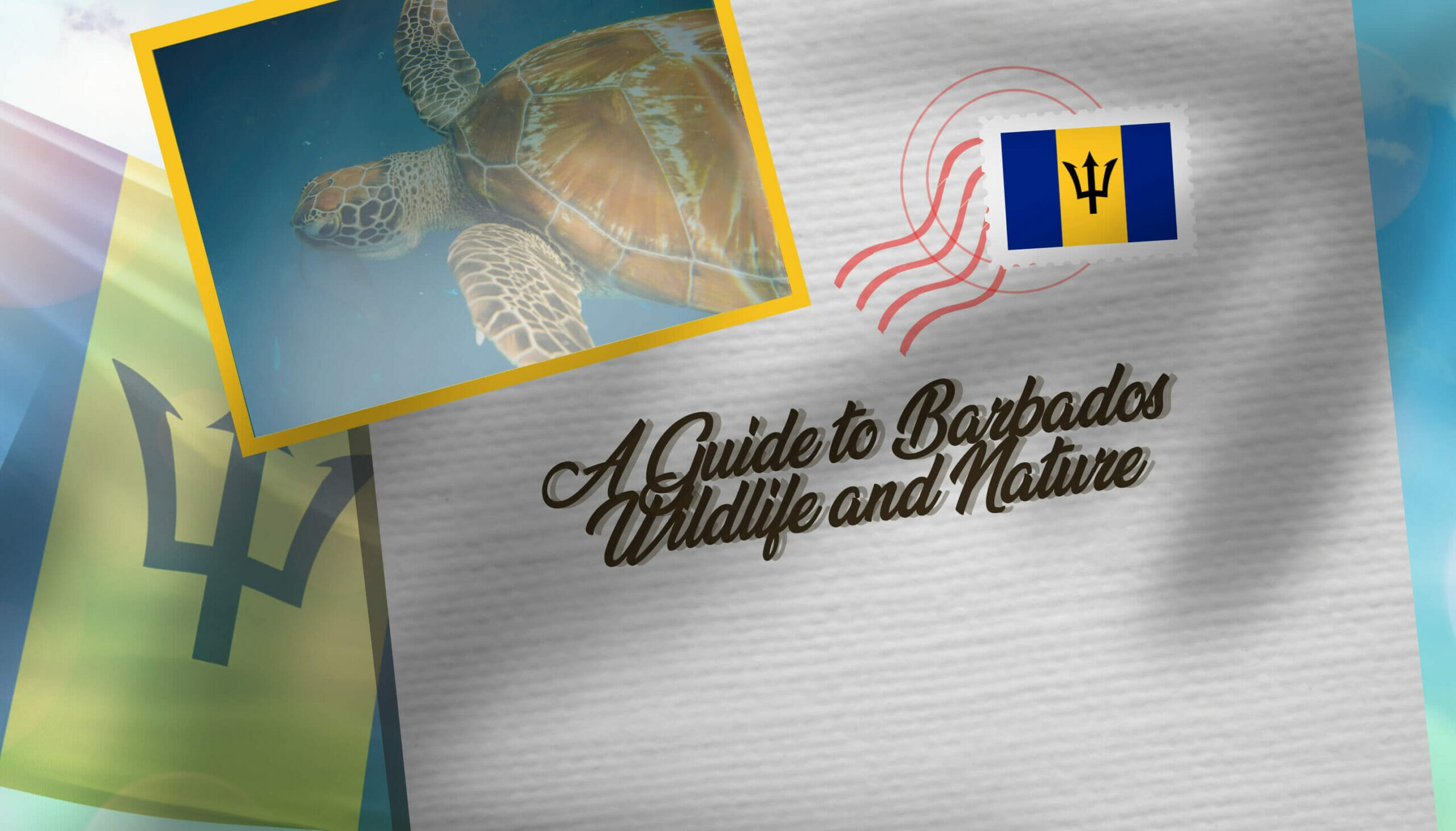 A Guide to Barbados Wildlife and Nature