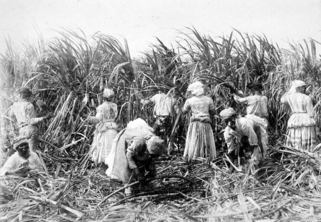 Act 2 Slavery on Sugar Plantations
