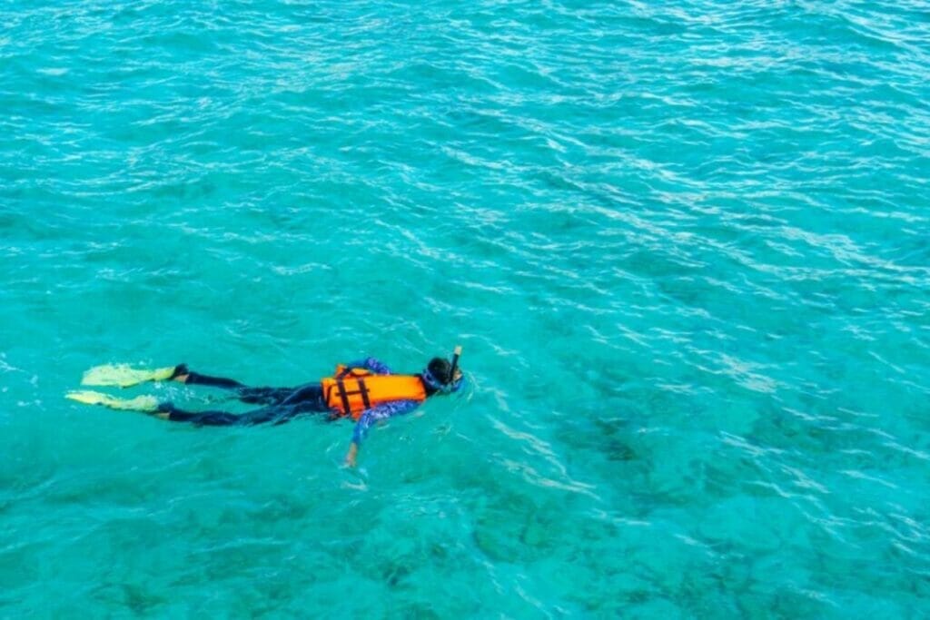 Adventurous Escapades