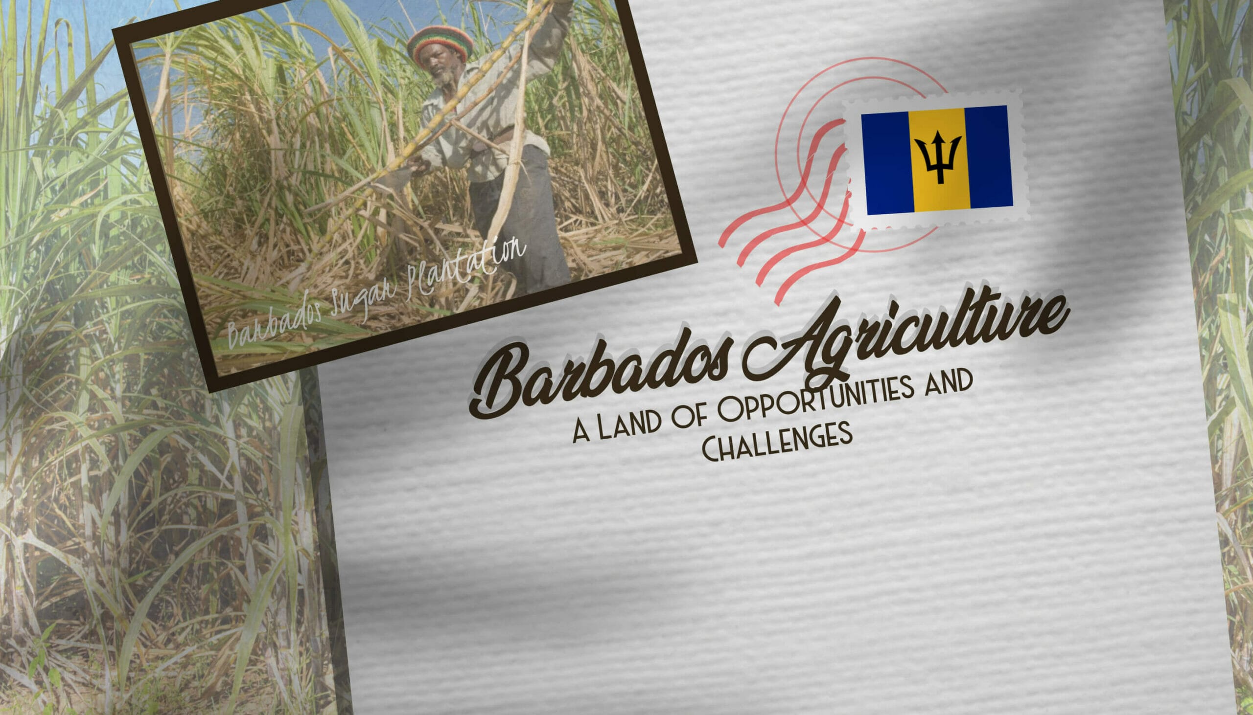 Barbados Agriculture