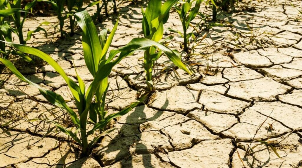 Climate Change Facing New Challenges
