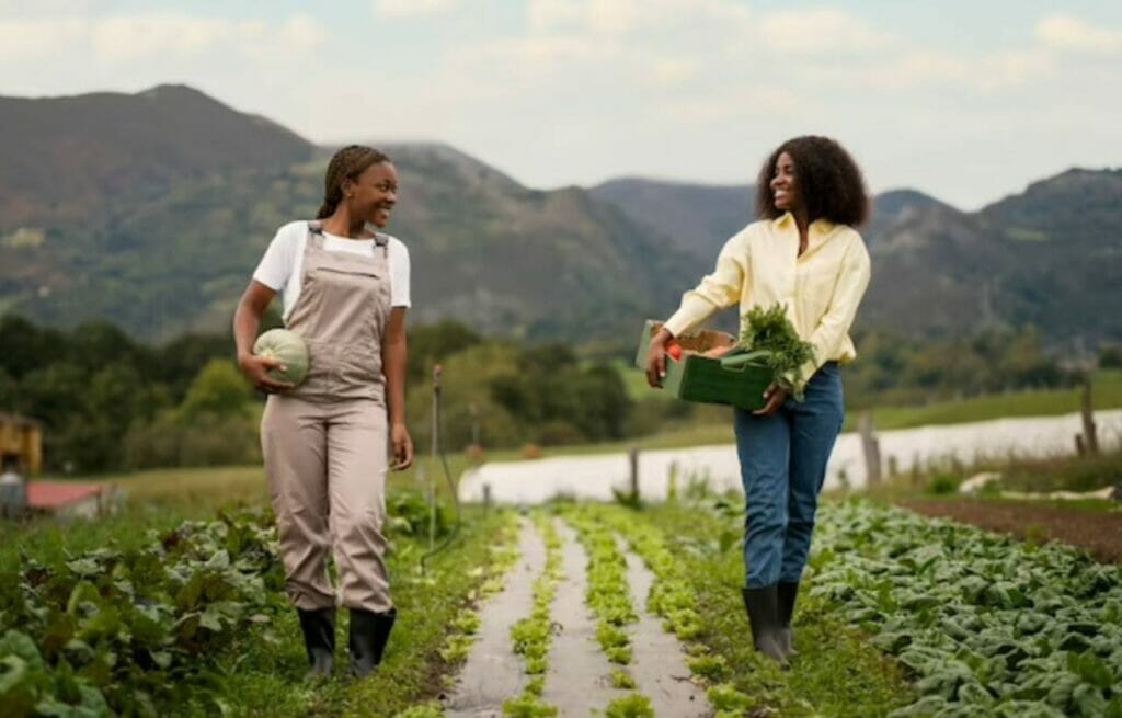 Exploring the Farm-to-Table Movement