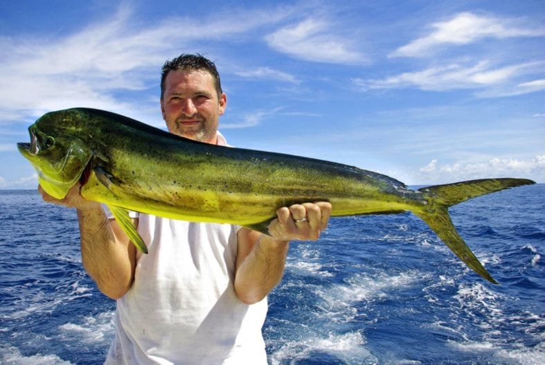 Fresh Catch of the Day A Seafood Lover's Delight