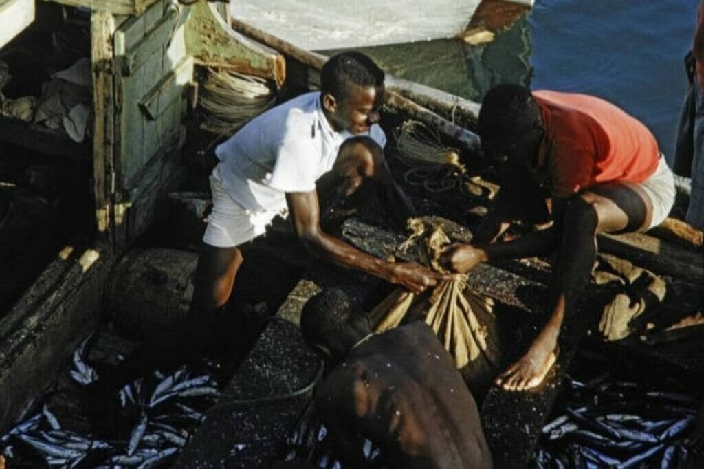 From Farm to Feast The Bajan Way