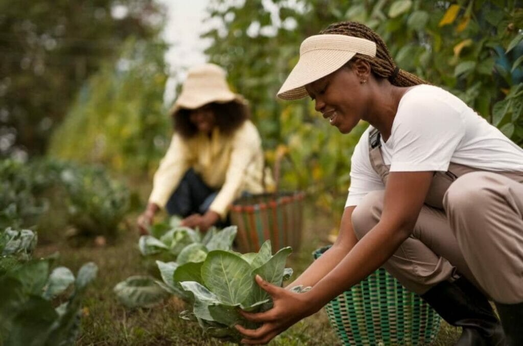 Organic Farms and Sustainable Practices