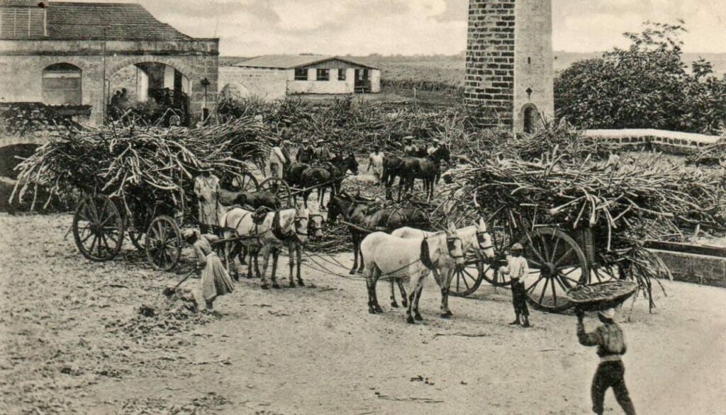 Sugar, Slavery, and a Changing Landscape