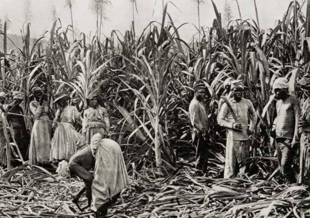 The Decline of the Sugar Industry and Emancipation