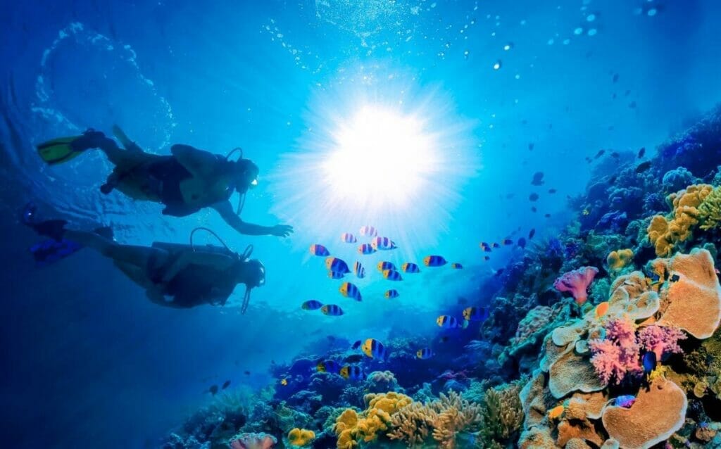 The Marvels of Barbados Coral Reefs