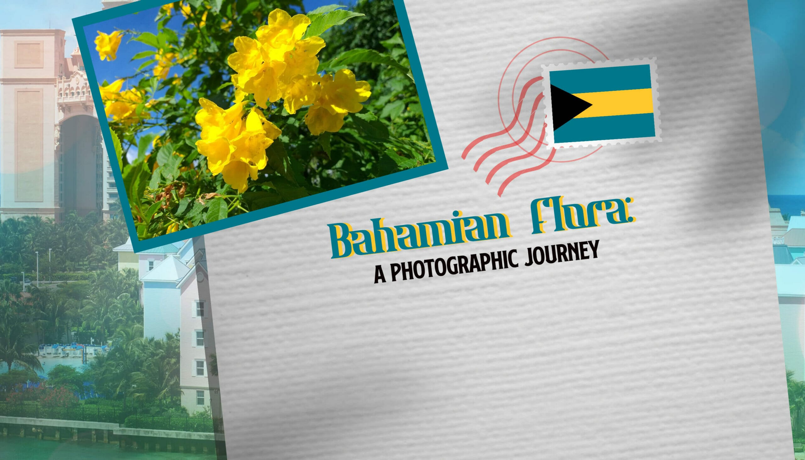 Bahamian Flora A Photographic Journey
