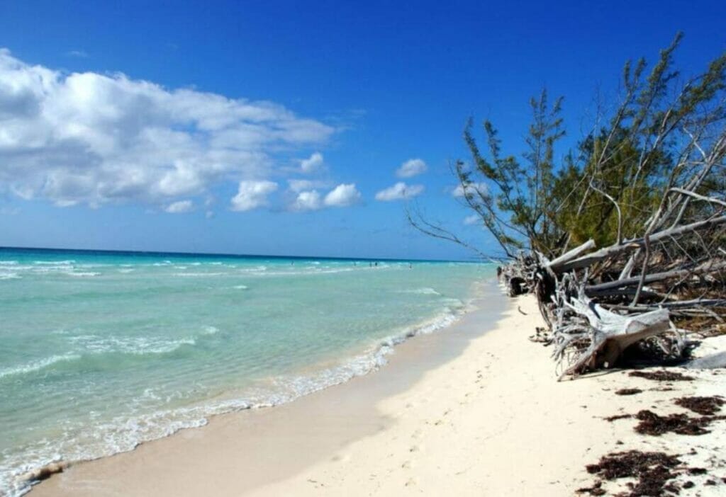 Beaches in Grand Bahama