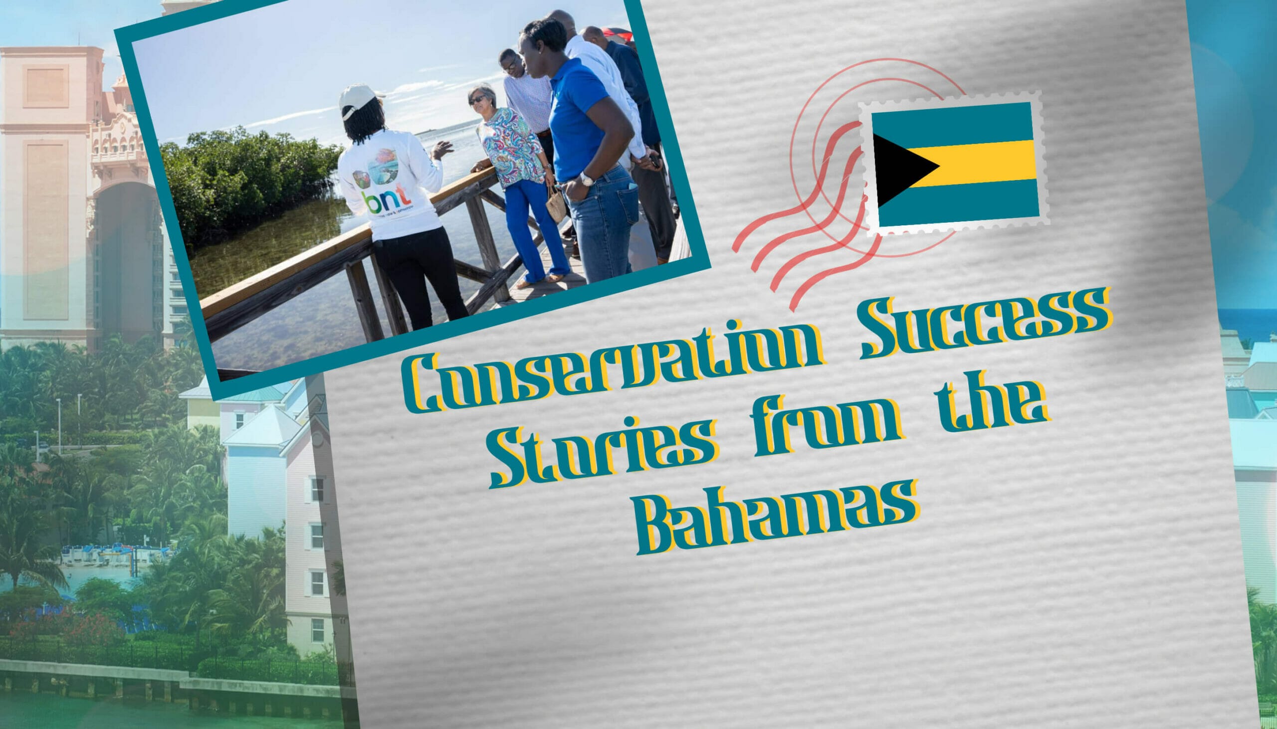 Conservation Success Stories from the Bahamas