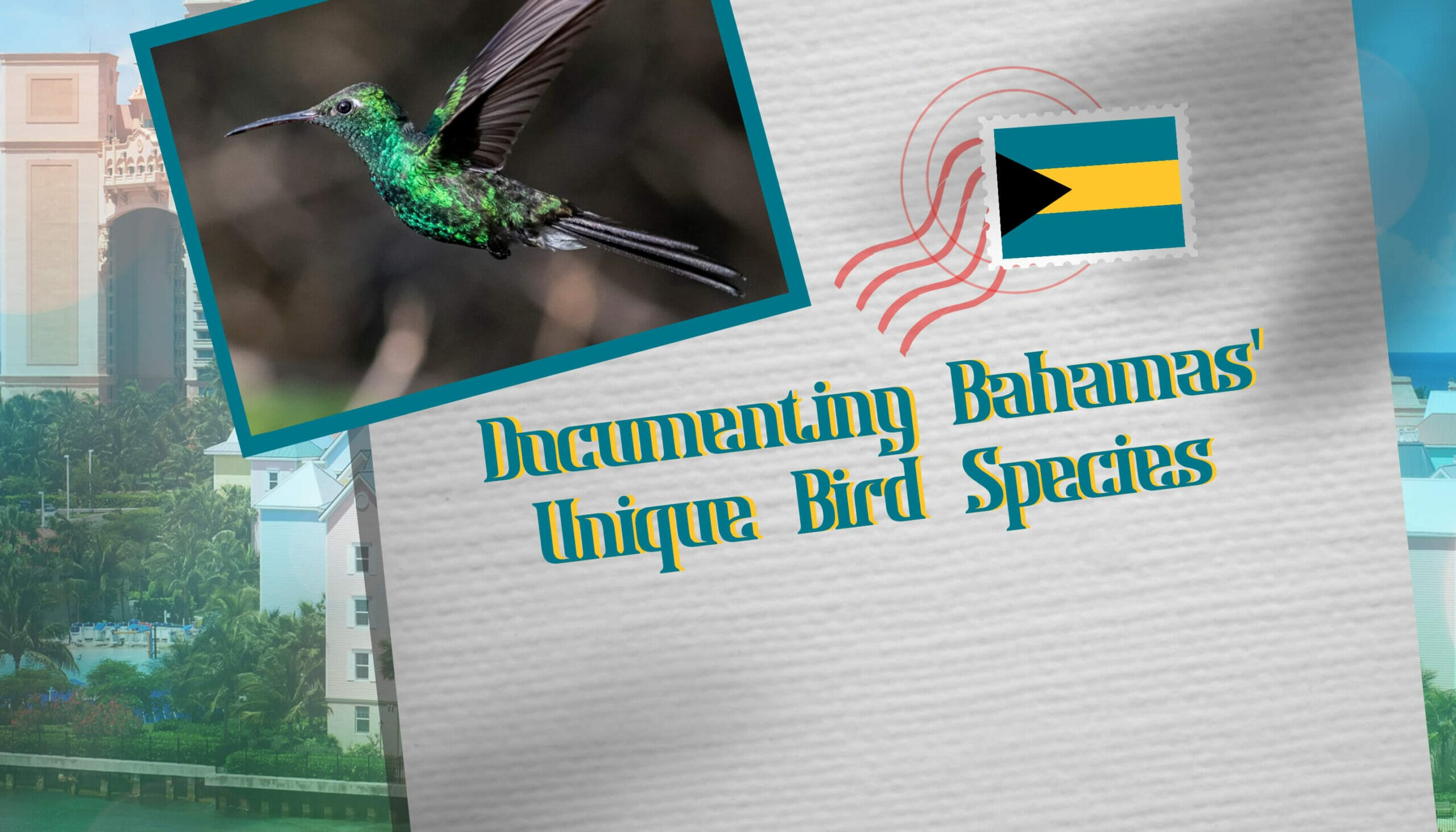 Documenting Bahamas' Unique Bird Species