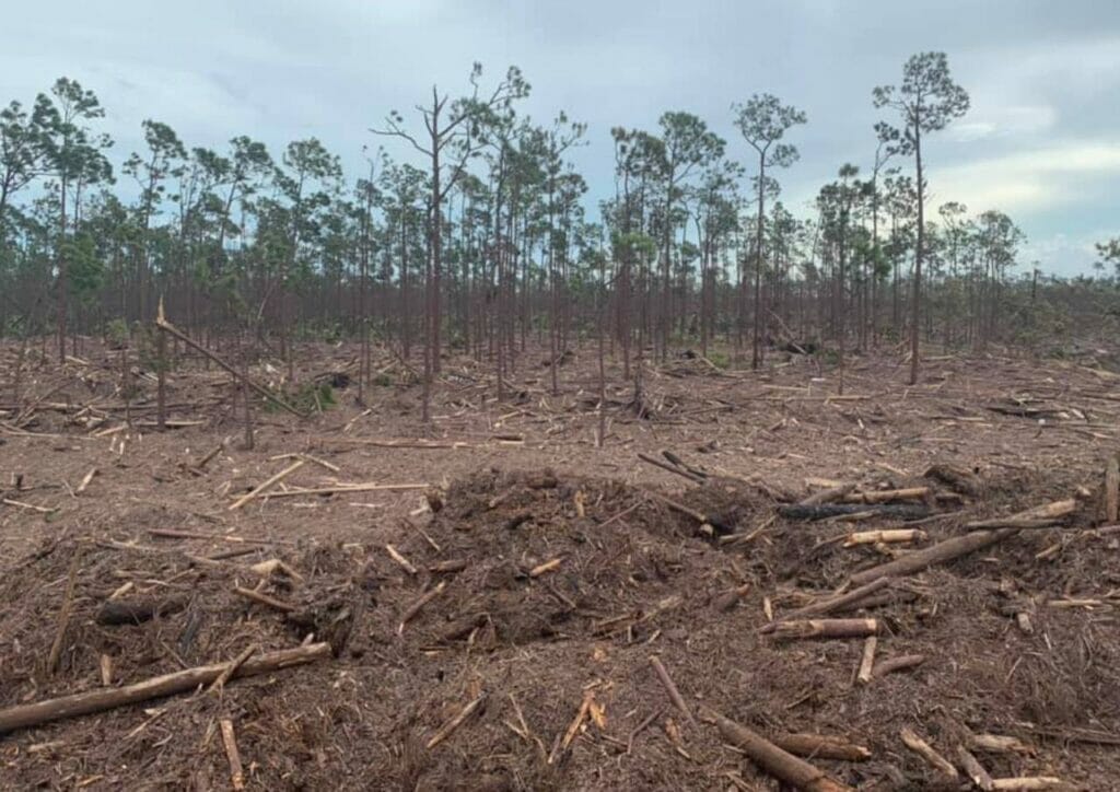 Effects on Land Ecosystems 