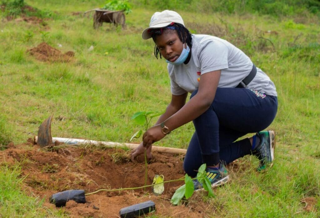 Rasta and Environmental Activism