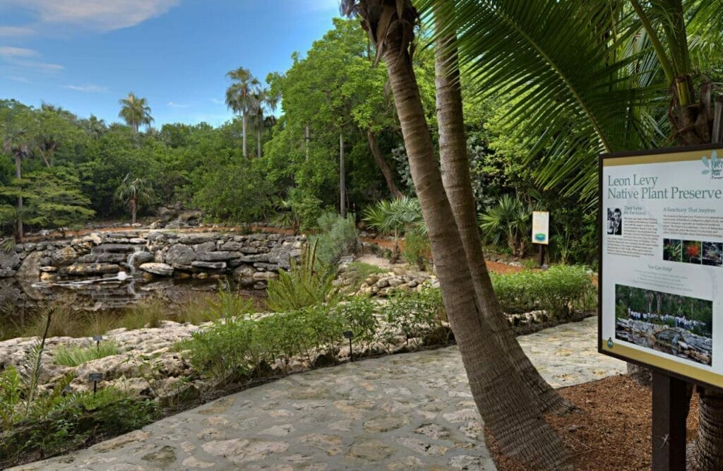 Successful Conservation Projects