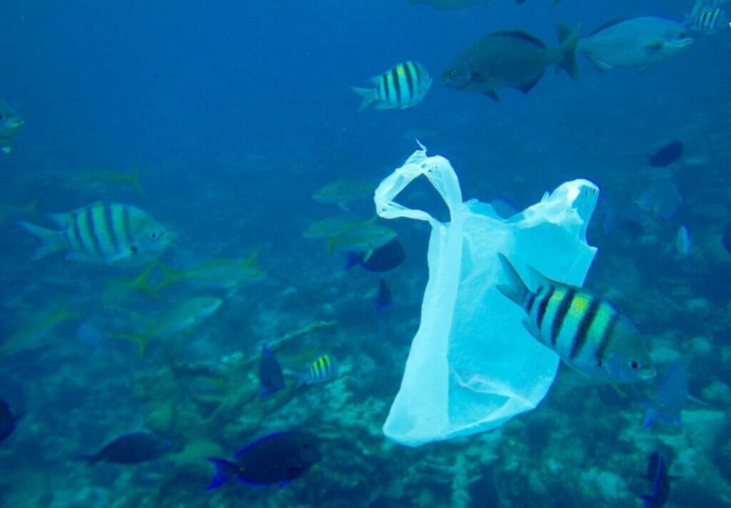 Threats to Marine Biodiversity
