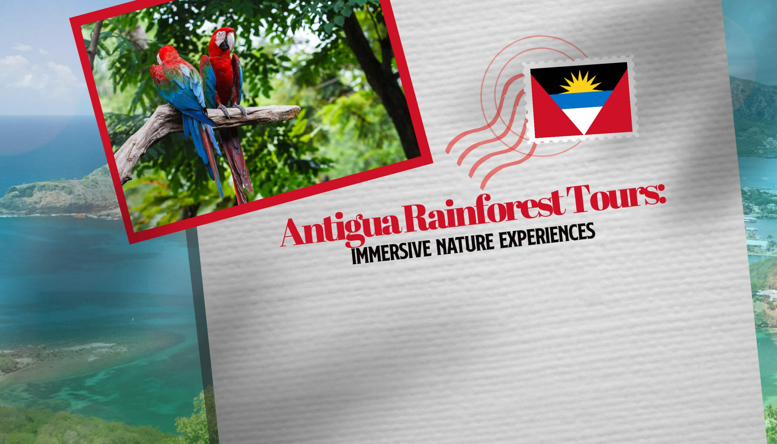 Antigua Rainforest Tours Immersive Nature Experiences