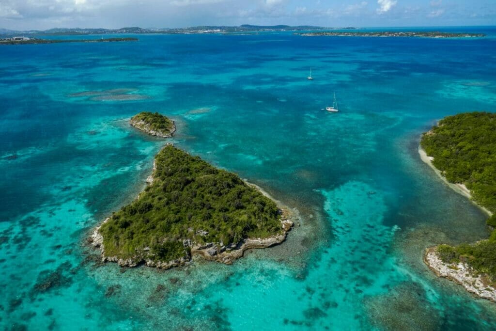 Antigua's Pristine Ecosystems A Haven for Biodiversity