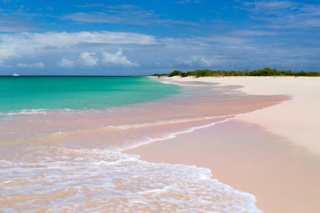 Barbuda Pink Sand Beaches and Frigate Bird Sanctuary
