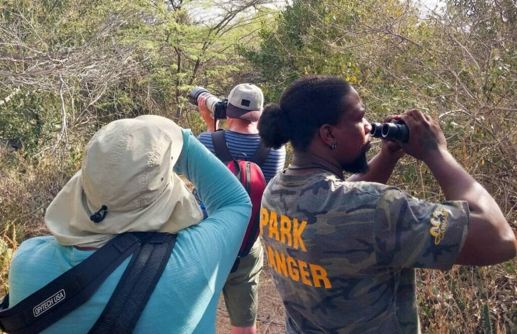 Bird Watching A Paradise for Avian Enthusiasts