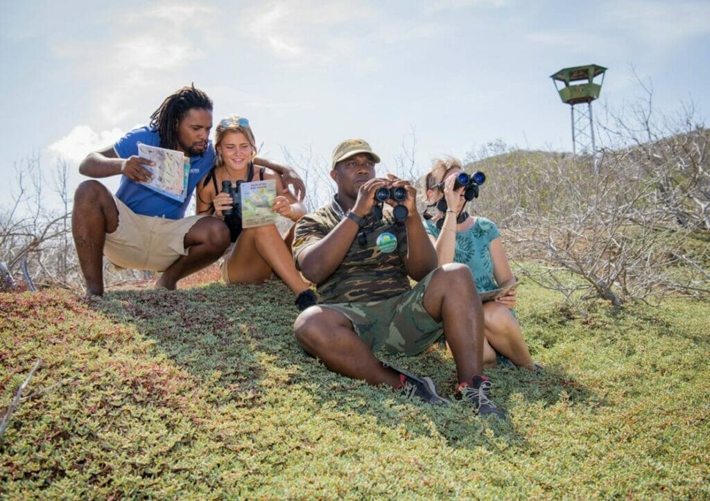 Birds of Antigua Avian Diversity and Birdwatching Hotspots