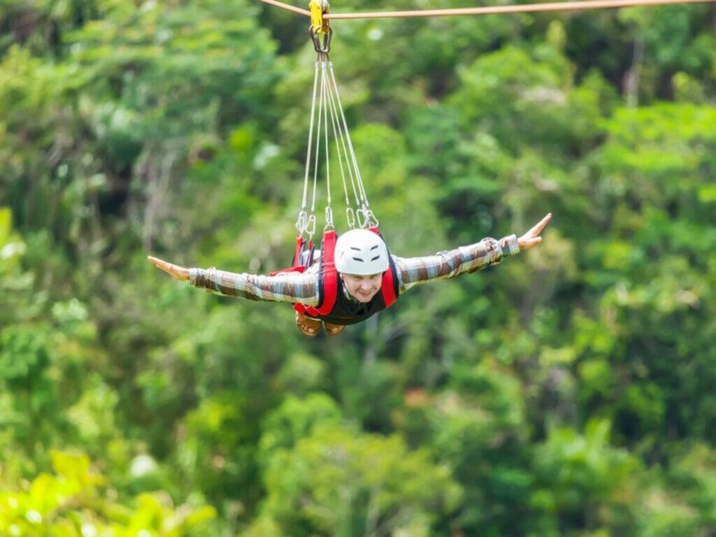 Canopy Tours and Ziplining