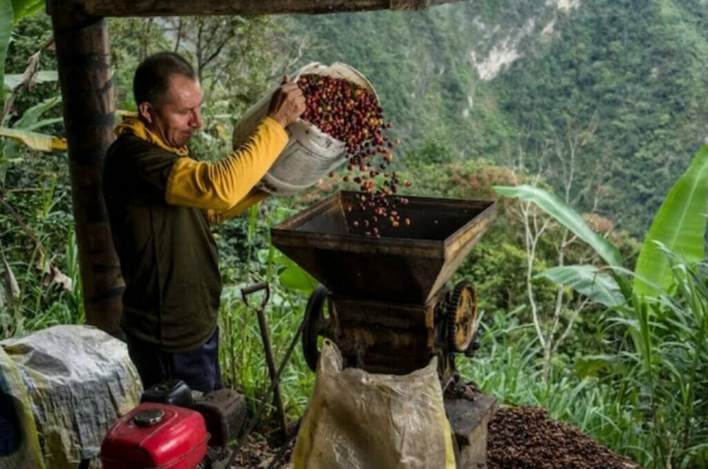 Coffee Roasters