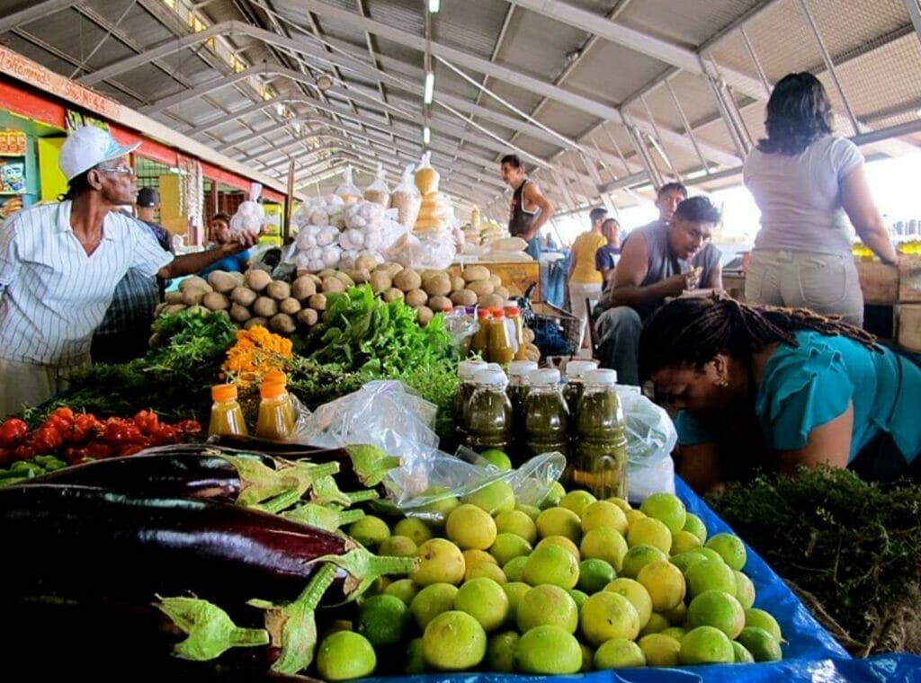 Exploring Vibrant Local Food Markets