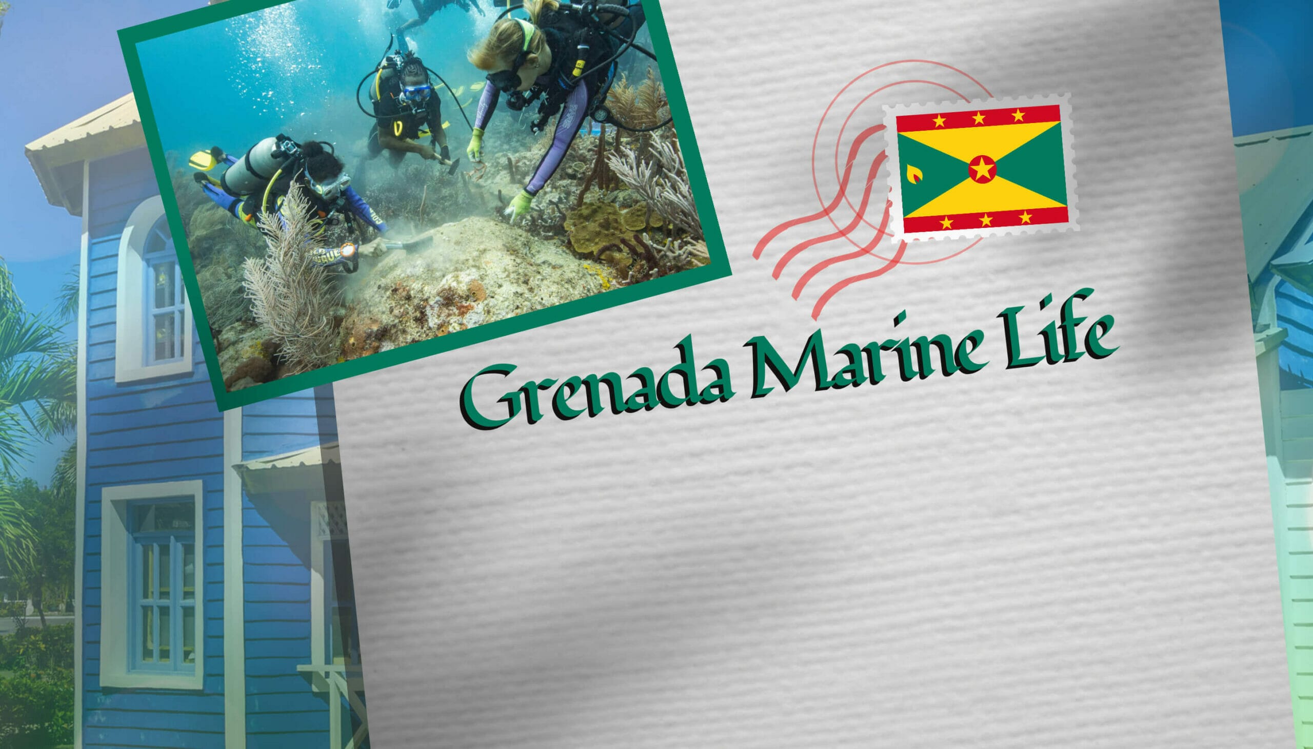 Grenada Marine Life