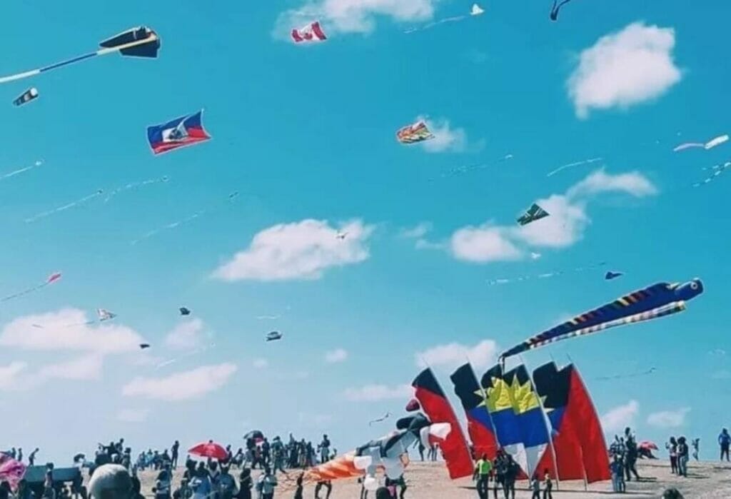 Kite Flying Competitions Colorful Spectacle and Skillful Displays